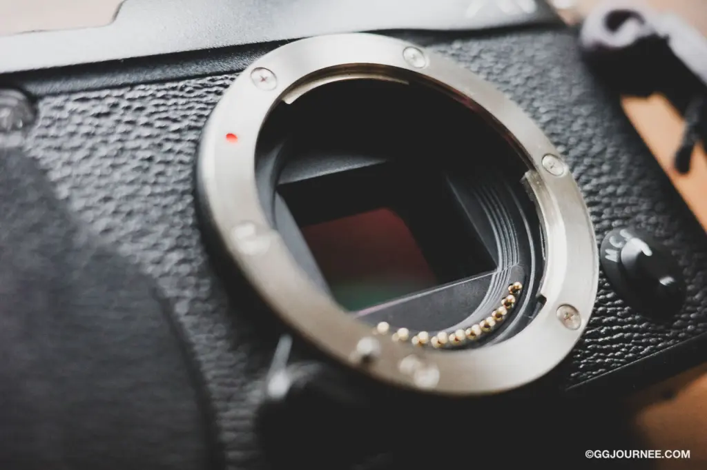 スマホ写真とはこんなに違う！カメラを一度使ってみるべき3つの理由